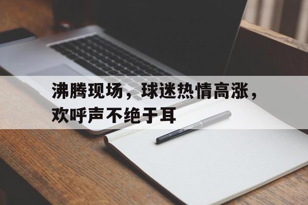 沸腾现场，球迷热情高涨，欢呼声不绝于耳