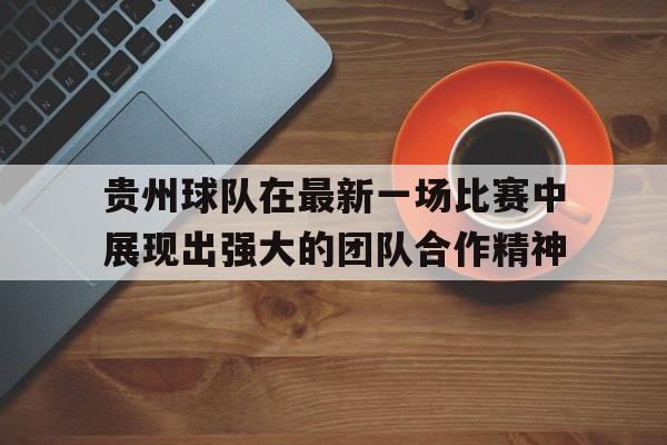 贵州球队在最新一场比赛中展现出强大的团队合作精神